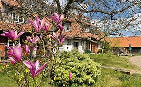 Ferienhof Rauchhaus